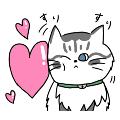 [LINEスタンプ] 【普段使いできる】ネコのポン太くん