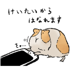 [LINEスタンプ] 日常用ゆるりん動物ズ