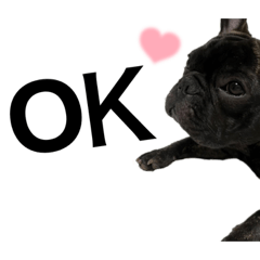 [LINEスタンプ] BUN BUN フレンチブルドッグ