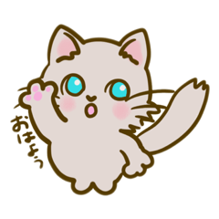 [LINEスタンプ] 猫のきぬくん