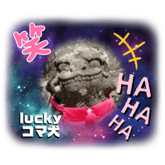 [LINEスタンプ] Luckyコマ犬〜幸せを呼ぶ〜