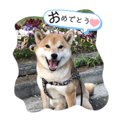 [LINEスタンプ] R I K I chan