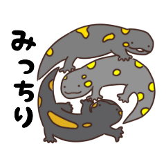 [LINEスタンプ] かわいいファイアサラマンダー2