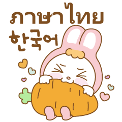 [LINEスタンプ] ワンダーウサギデイリー(韓国語＆タイ語)