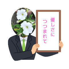 [LINEスタンプ] ペチュニア00001