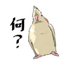 [LINEスタンプ] インコたくさん