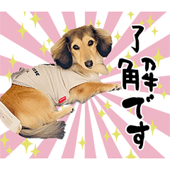 [LINEスタンプ] りん☆Always happy