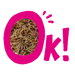 [LINEスタンプ] 焼きそば召し上がれ