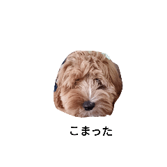 [LINEスタンプ] おいらの行動