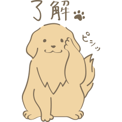 [LINEスタンプ] ゴールデンレトリバーのロゼの一日