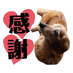 [LINEスタンプ] はなのスタンプの巻2