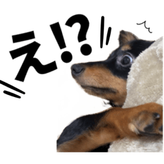 [LINEスタンプ] チクワstamp
