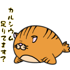 [LINEスタンプ] ねこざらし☆茶トラ☆