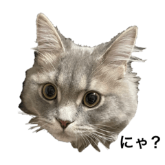 [LINEスタンプ] ろくぅ