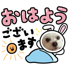 [LINEスタンプ] cheri pyonスタンプの画像（メイン）