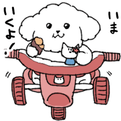 [LINEスタンプ] ゆるふわ白い犬 トイプードル 修正版