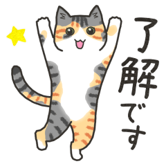 [LINEスタンプ] 40匹のねこの、みんなで了解！