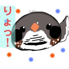 [LINEスタンプ] キンカチョウのペーペーたち