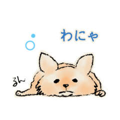 [LINEスタンプ] ポメるん by SO21