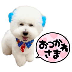 [LINEスタンプ] ビジョンフリーゼベンツくん