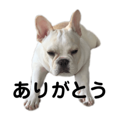 [LINEスタンプ] 家族で使えるLINEスタンプ