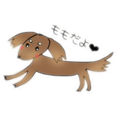 [LINEスタンプ] ミニチュアダックスももの気持ち