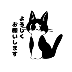 [LINEスタンプ] ハチワレほくろ猫敬語スタンプ