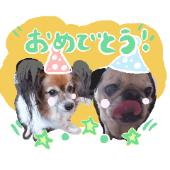 [LINEスタンプ] 可愛い犬パグのてつお＆パピヨンのせつこ