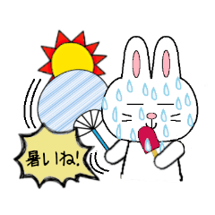 [LINEスタンプ] 白うさぎの毎日スタンプ