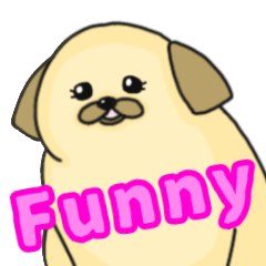 [LINEスタンプ] シーズー☆Funny Moments