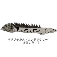 [LINEスタンプ] フレッシュ フレッシュ フレッシュ