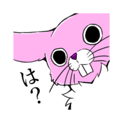 [LINEスタンプ] 毒舌ウサギあーちゃん