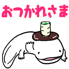 [LINEスタンプ] 毎日使える敬語の白いオオサンショウウオ