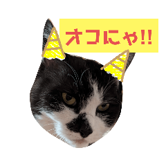 [LINEスタンプ] 白黒にゃん語にゃん2