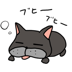 [LINEスタンプ] フレンチブルドッグのじぇーのスタンプ^^