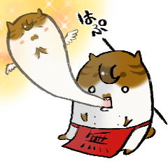 [LINEスタンプ] ちゃまるねこ