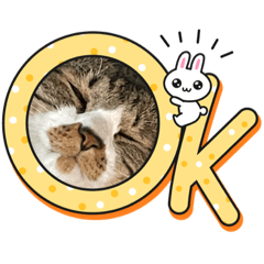 [LINEスタンプ] ねこちゃんスタンプ7