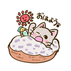 [LINEスタンプ] 猫のきぬくん 楽しい日常