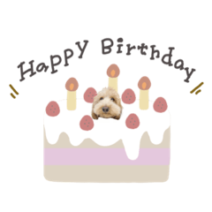 [LINEスタンプ] ♡キョウコ様