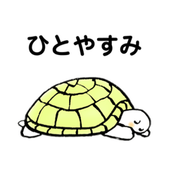 [LINEスタンプ] かめさんの日常すたんぷ