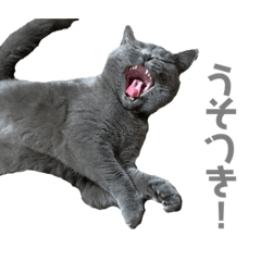 [LINEスタンプ] ふぁちゃん01