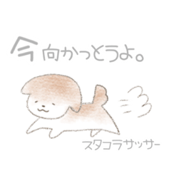 [LINEスタンプ] 【方言】関西弁、神戸弁風味なイッヌ【犬】