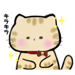 [LINEスタンプ] 茶トラ猫のトトちゃん