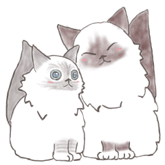 [LINEスタンプ] かわいいバーマン猫 レオレ＆シロル