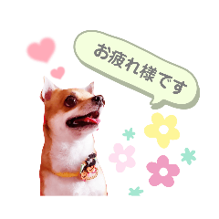 [LINEスタンプ] よく使う文字入り♡ペット