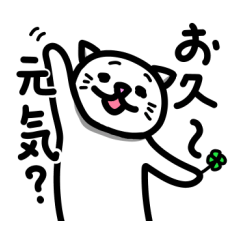 [LINEスタンプ] 白猫まゆげのスタンプ