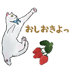 [LINEスタンプ] しろねこといちご