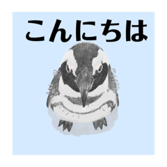 [LINEスタンプ] 神在月のペンギンスタンプ10