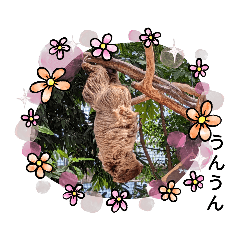 [LINEスタンプ] 動物写真で