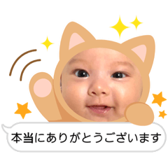 [LINEスタンプ] Noahの日常パート2